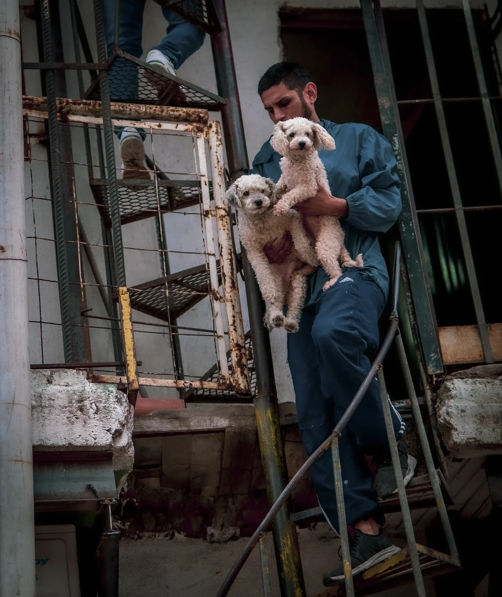 Un vecino bajando una escalera con dos cachorros en brazos
