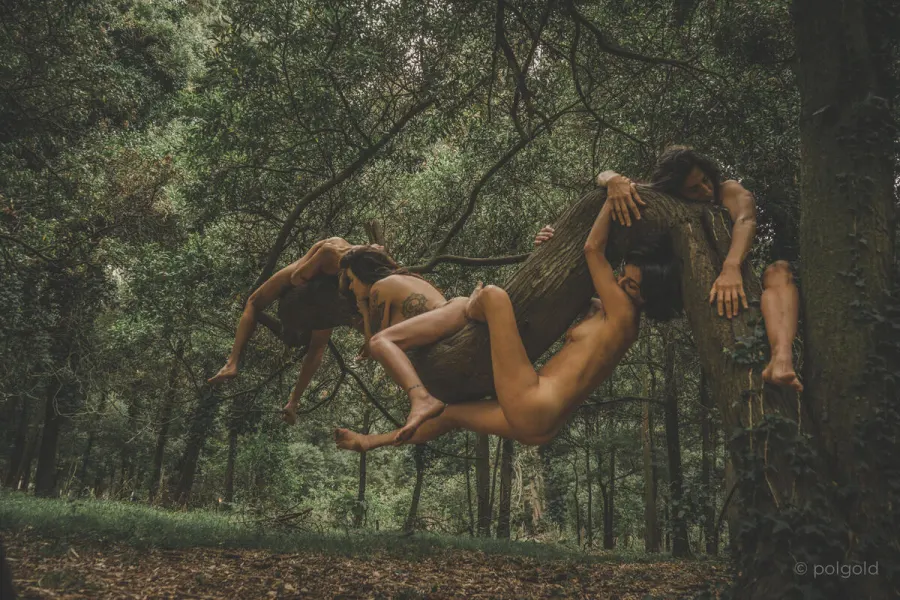 Fotografía de arte — Sun Factory