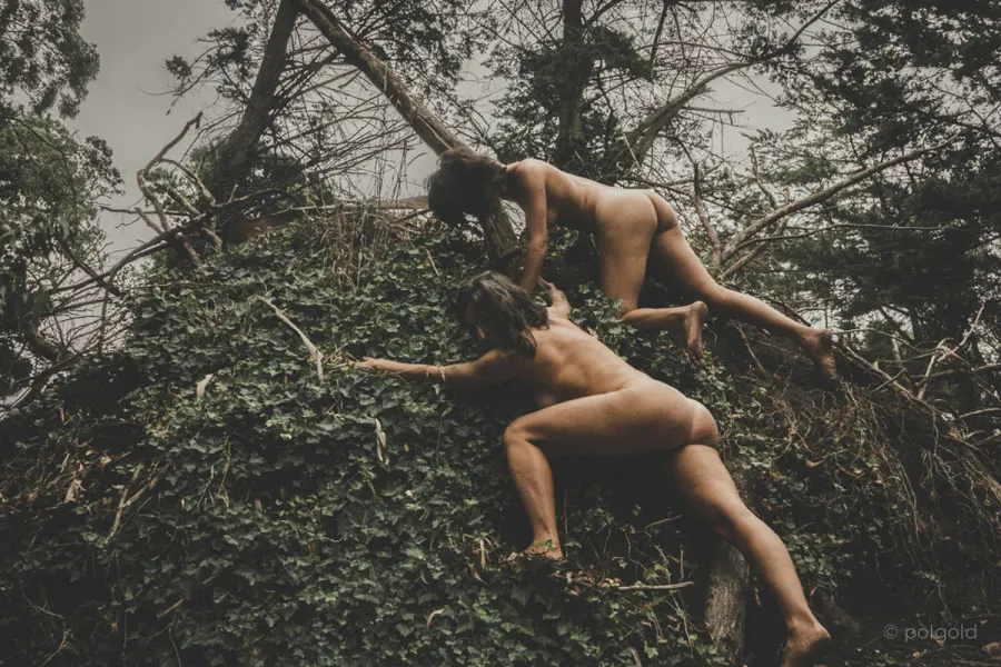 Fotografía de arte — Sun Factory