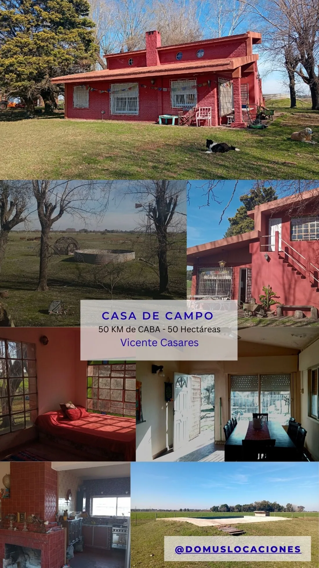 Vicente Casares - Campo